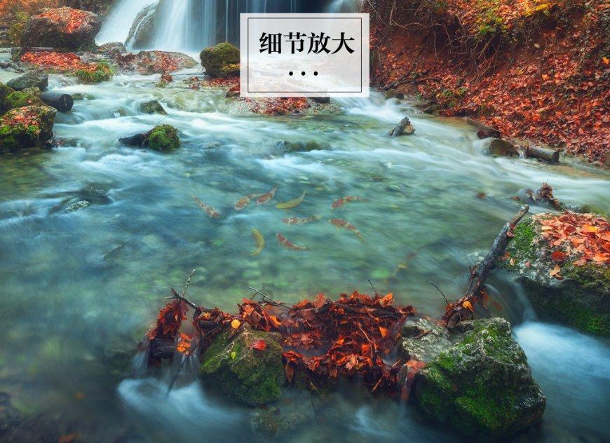创作猫