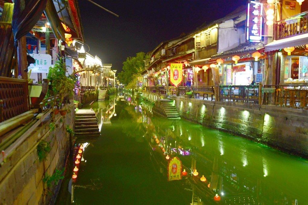 动物帮帮忙保卫家园
